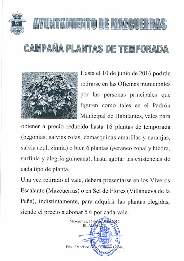 Campaña plantas de temporada 2016