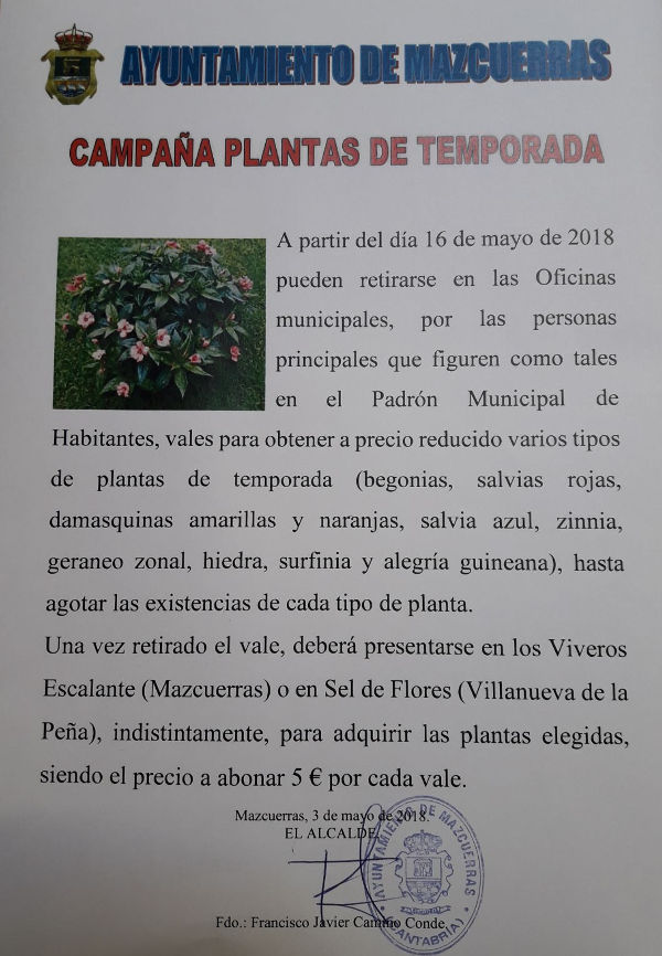 Plantas temporada 2018